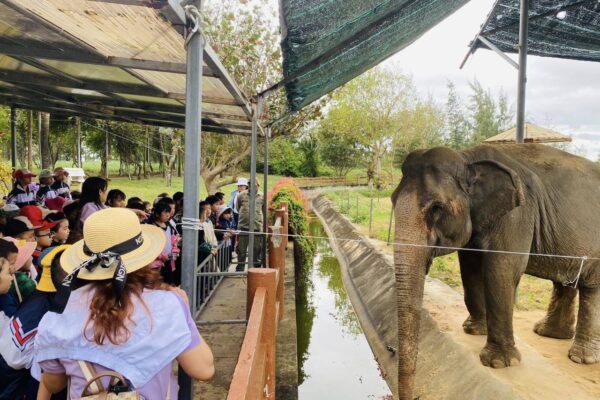 FLC Quy Nhơn Resort - Bãi biển (2)